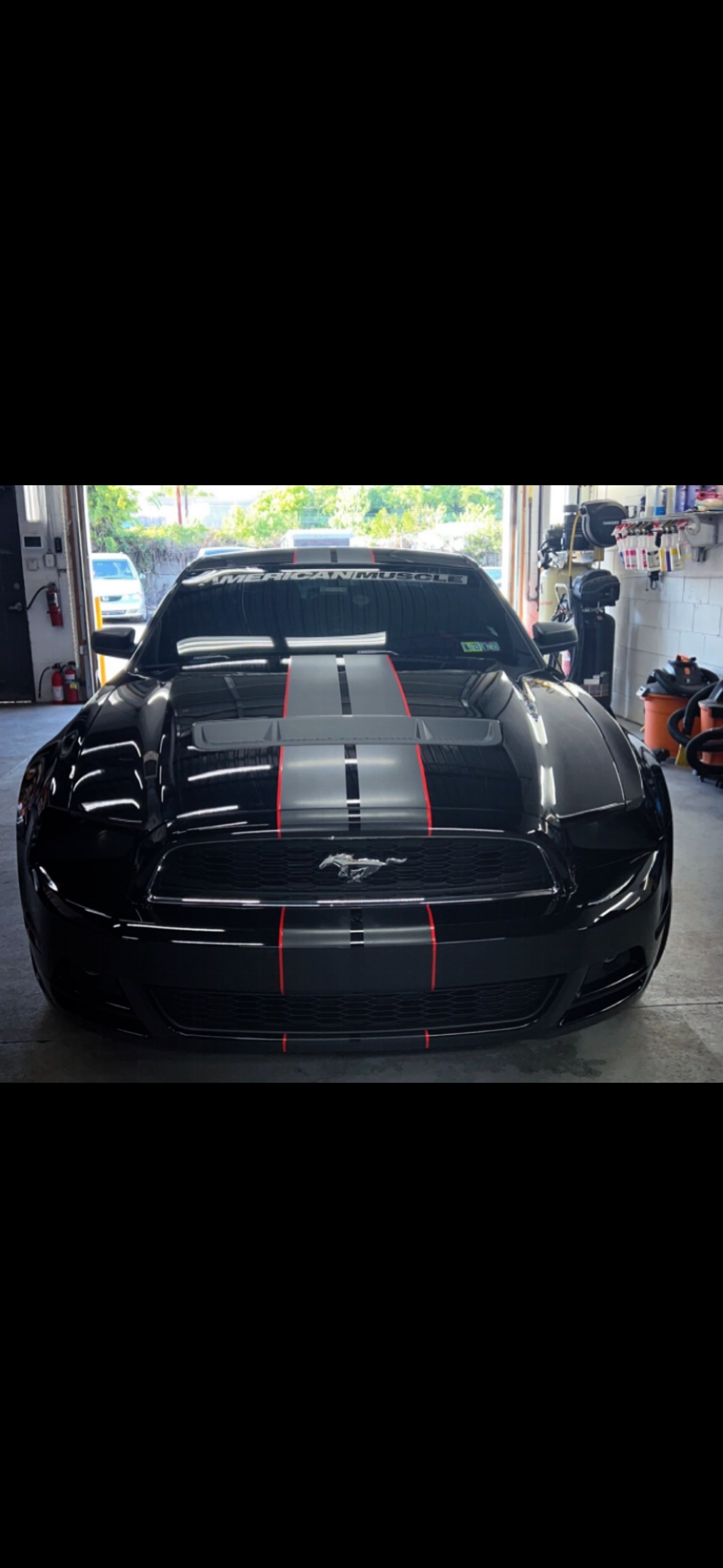 Racing Stripes